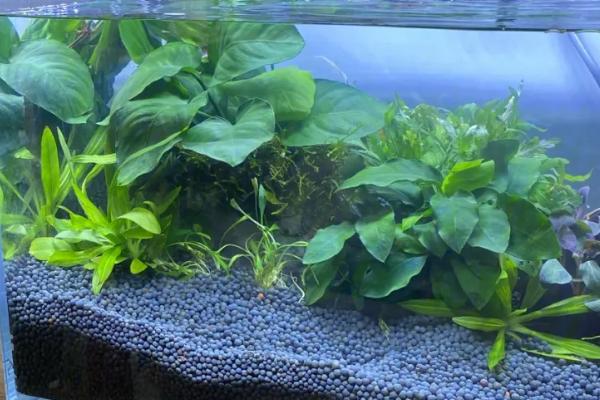 土霉素的使用量,内服和药浴的用量不同