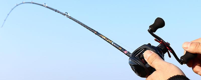 马口竿可以钓哪些鱼