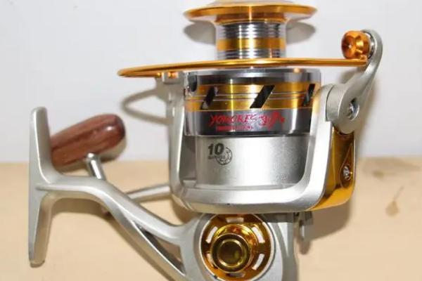 马口竿可以钓哪些鱼,可垂钓鲫鱼、马口鱼、翘嘴鱼等中小型鱼种