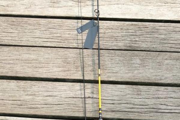 马口竿可以钓哪些鱼,可垂钓鲫鱼、马口鱼、翘嘴鱼等中小型鱼种