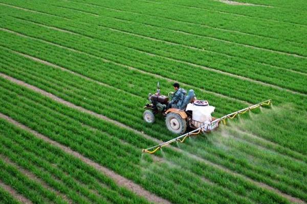 使用代森锰锌出现药害的原因,一般是药剂不合格、盲目混配等因素所导致