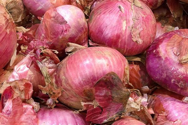 如何保存洋葱才能避免发芽,切开后放入冰箱中冷藏可防止发芽