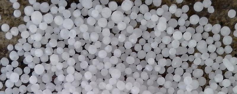 尿素的主要成分