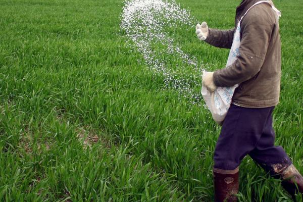 尿素的主要成分,氮元素是它的主要有效成分