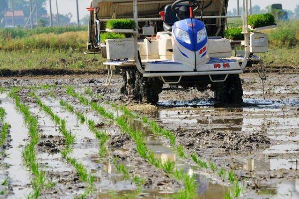 水稻插秧机常遇事故及解决方式,找准原因精准解决
