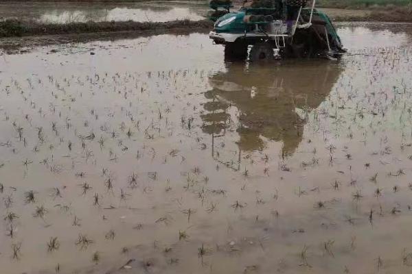 水稻插秧机常遇事故及解决方式,找准原因精准解决