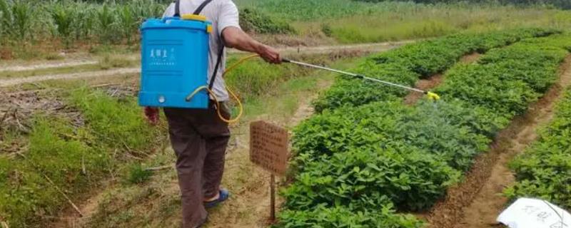 花生三遍药是用哪些农药