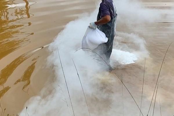 鱼塘消毒用什么药可以避免伤鱼,使用二氧化氯可以防止鱼儿受到损伤