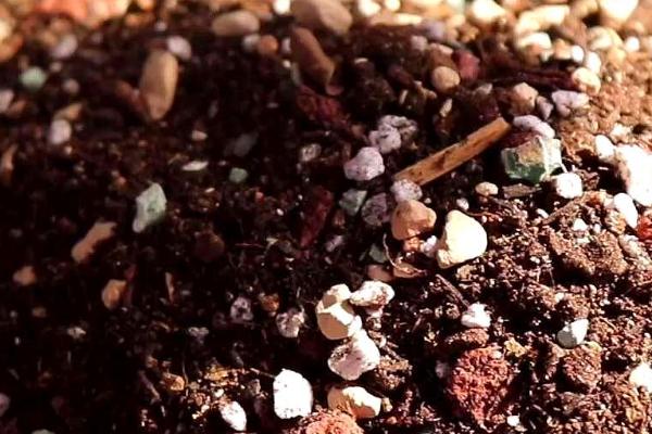 用什么土壤种植兰花,适合使用疏松、排水良好、富含腐殖质的微酸性土壤