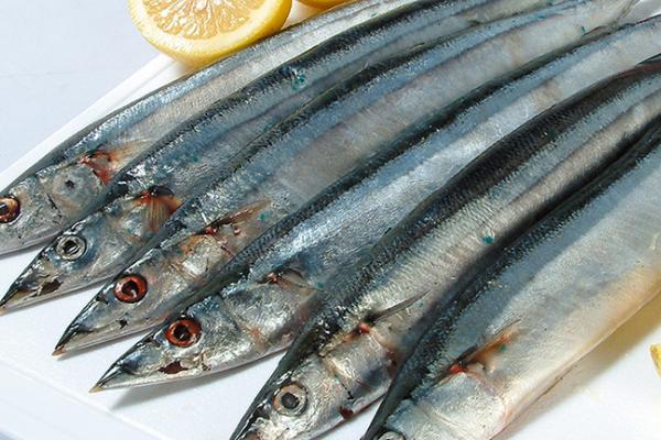 刀鱼有没有刺,体内有刺且数量较多