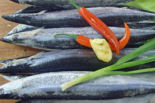 刀鱼有没有刺,体内有刺且数量较多