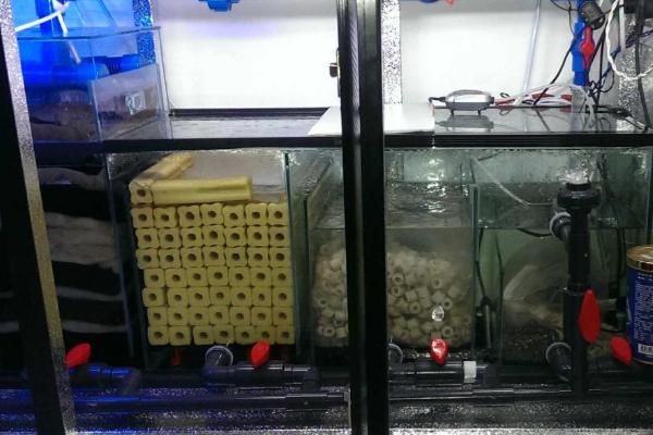 如何清理鱼缸底滤，捞出鱼儿后拿出滤材并逐一清洗即可