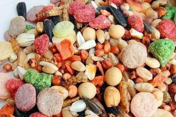 仓鼠幼崽的食物，可饲喂部分蔬菜、水果及谷物