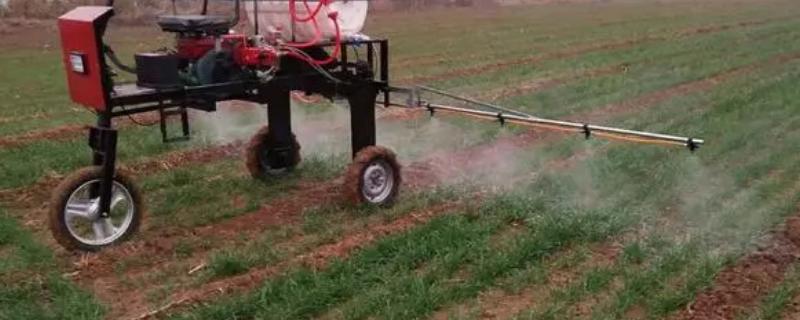 影响乙草胺药效的因素