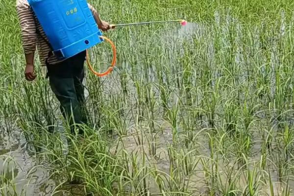 影响乙草胺药效的因素，天气干旱时施药效果不佳
