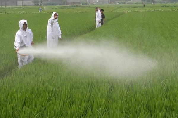 影响乙草胺药效的因素，天气干旱时施药效果不佳