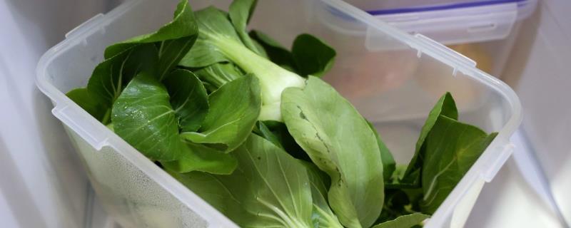 油菜能保存多久