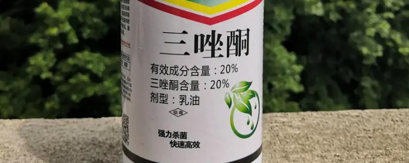 三唑酮的作用