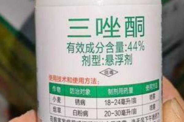 三唑酮的作用，对锈病和白粉病有预防、铲除等作用