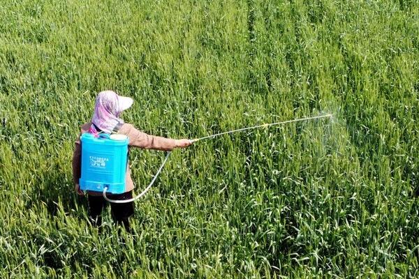 三唑酮的作用，对锈病和白粉病有预防、铲除等作用