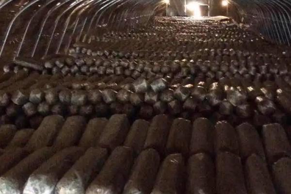 食用菌袋怎么通气,可在袋上扎孔、再将菌种播至扎孔处