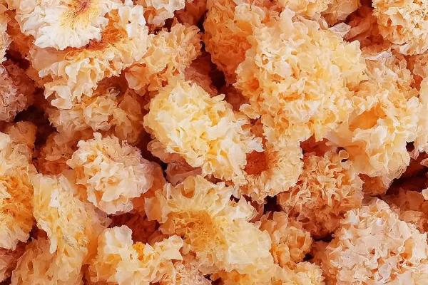 银耳能保存多久，干燥处理后可保存三年以上