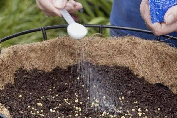 花卉追肥方法，15-30度之间适合追肥