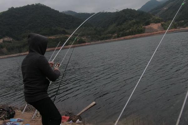 冬天水库钓马口钓深还是钓浅,适合钓深