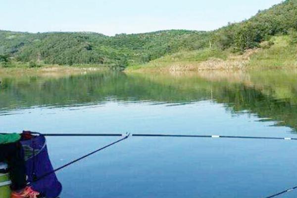 冬天水库钓马口钓深还是钓浅,适合钓深