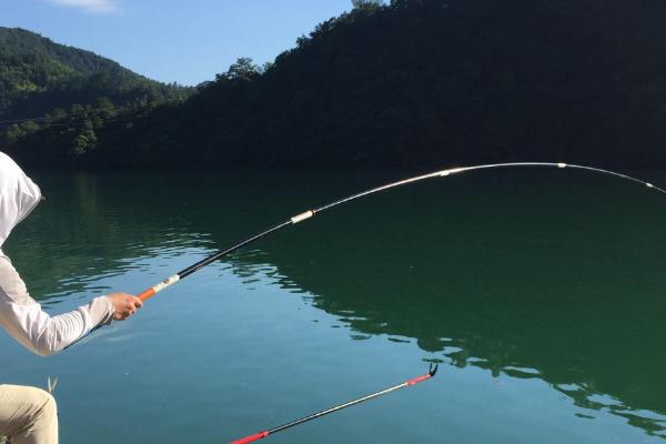 夏天如何野钓鲫鱼，可选择具有大片水草的地方作为钓点