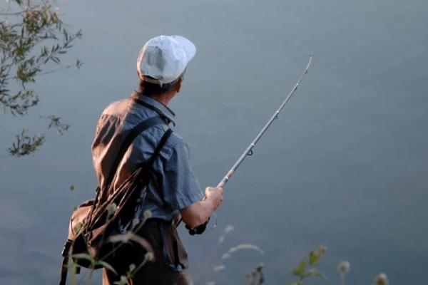 夏天如何野钓鲫鱼，可选择具有大片水草的地方作为钓点