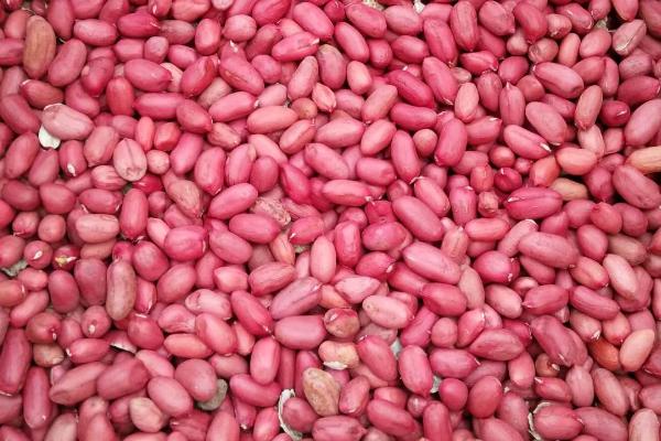 地膜春花生的栽培技术，选择透性好且昼夜温差大的沙性壤土为佳