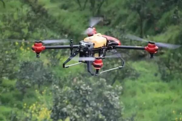 柑橘使用多效唑的使用方式，用于保果和促花的使用时间不同