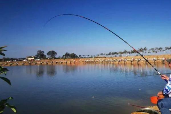 7月份钓鲫鱼用什么饵料，清淡的饵料最好