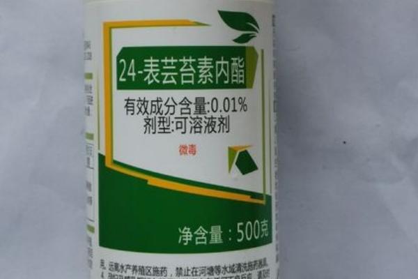 芸苔素内酯的作用，有利于苗期促根、生殖期促实等