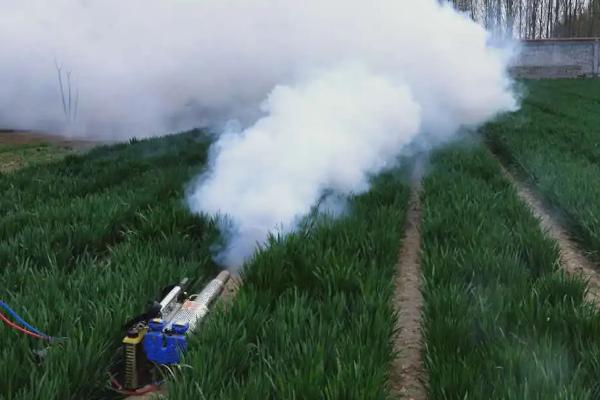 三乙膦酸铝的防治对象，防治甜瓜霜霉病、黄瓜霜霉病等效果好