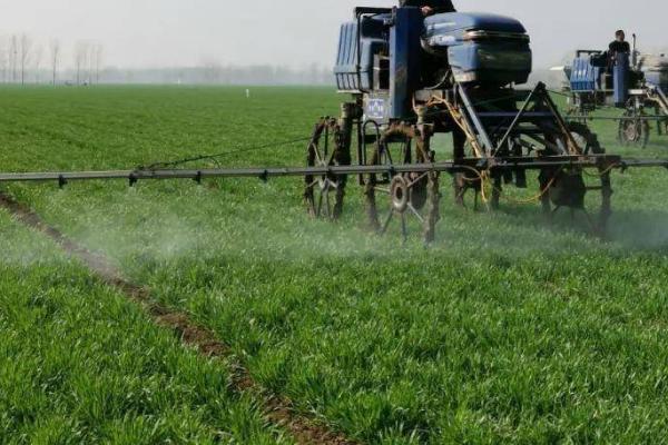 麦田春季除草要点，药液需二次稀释、不可重喷漏喷
