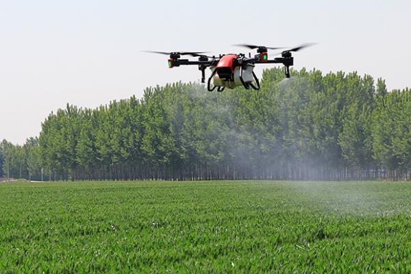 麦田春季除草要点，药液需二次稀释、不可重喷漏喷
