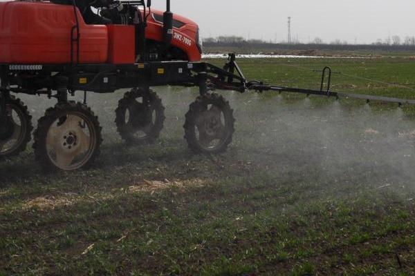 麦田春季除草要点，药液需二次稀释、不可重喷漏喷