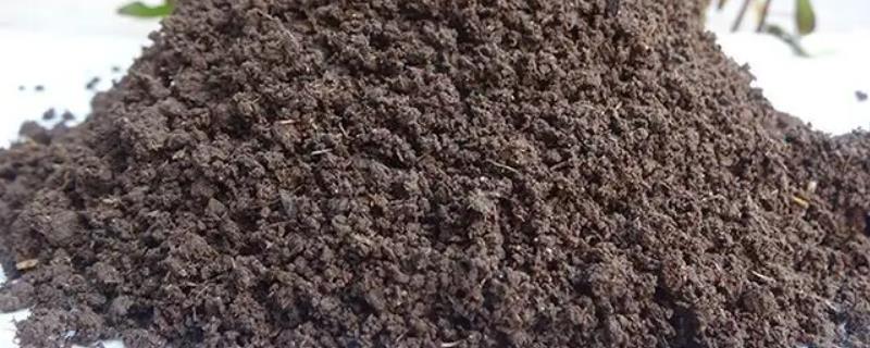 蚯蚓粪的价格