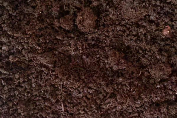 蚯蚓粪的价格，一吨需要360-400元左右