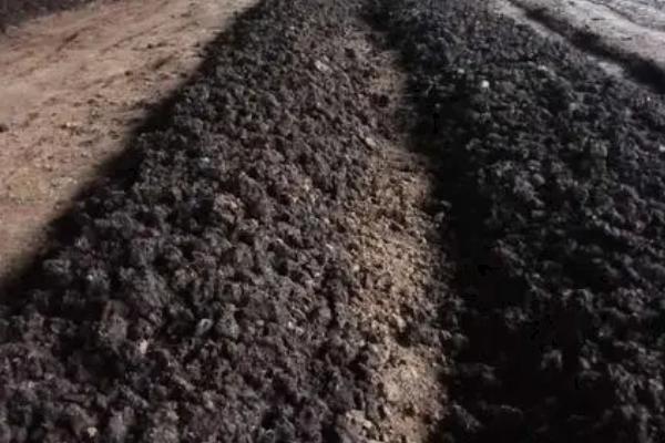 蚯蚓粪的价格，一吨需要360-400元左右