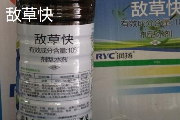 敌草快和百草枯的区别,性质、作用和用途均不同