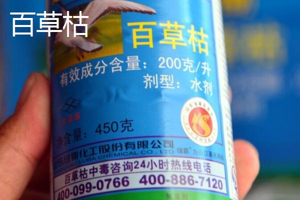 敌草快和百草枯的区别,性质、作用和用途均不同