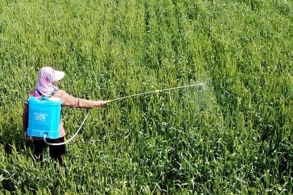 敌草快和百草枯的区别,性质、作用和用途均不同