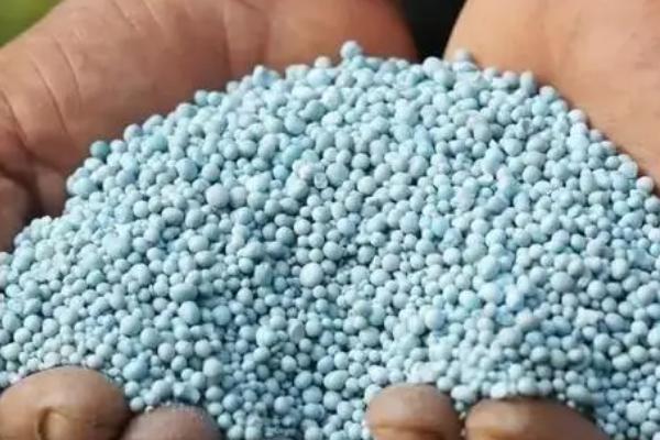 钾肥如何鉴别真假,常用铁片燃烧法和溶液燃烧法