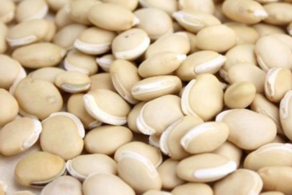 白扁豆的亩产量,大概有1000斤左右