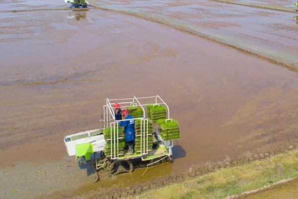 春耕购机如何辨真伪,从商标、外观、保护装置、质量等方面辨别