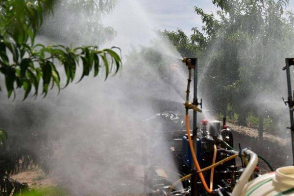 花卉果树禁用农药,不同的花卉果树忌用农药不同