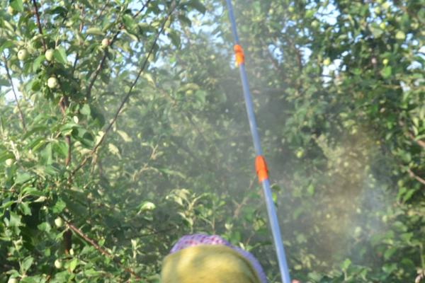 花卉果树禁用农药,不同的花卉果树忌用农药不同